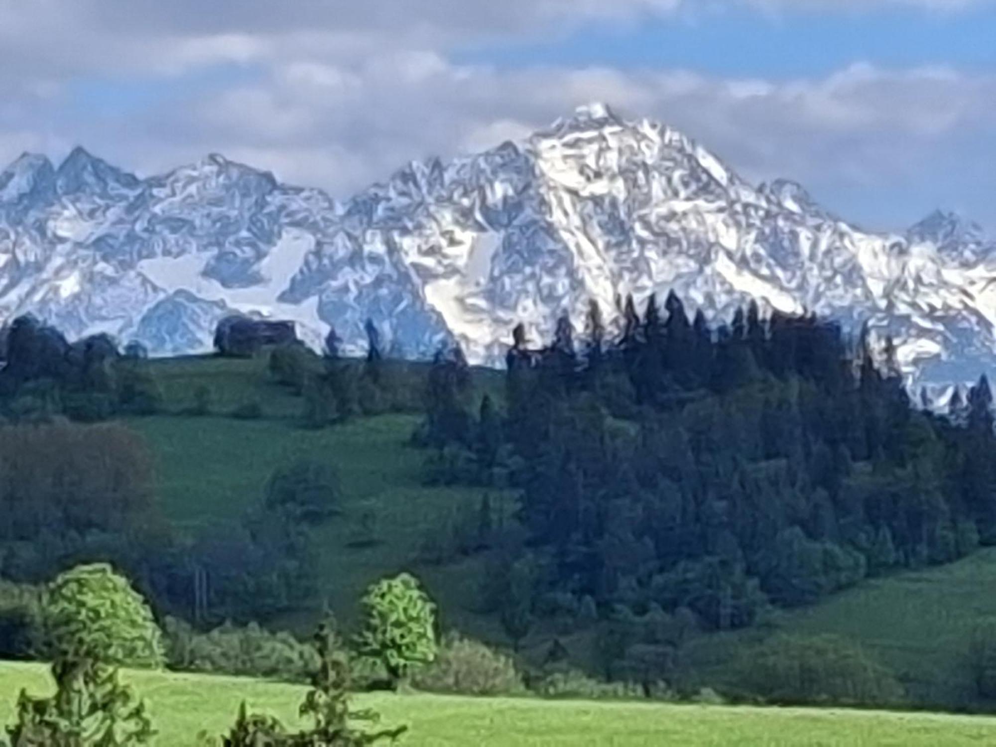 Dom Z Widokiem Na Wierchy - Panorama Na Tatry - Traditional Folk House Gliczarów Buitenkant foto