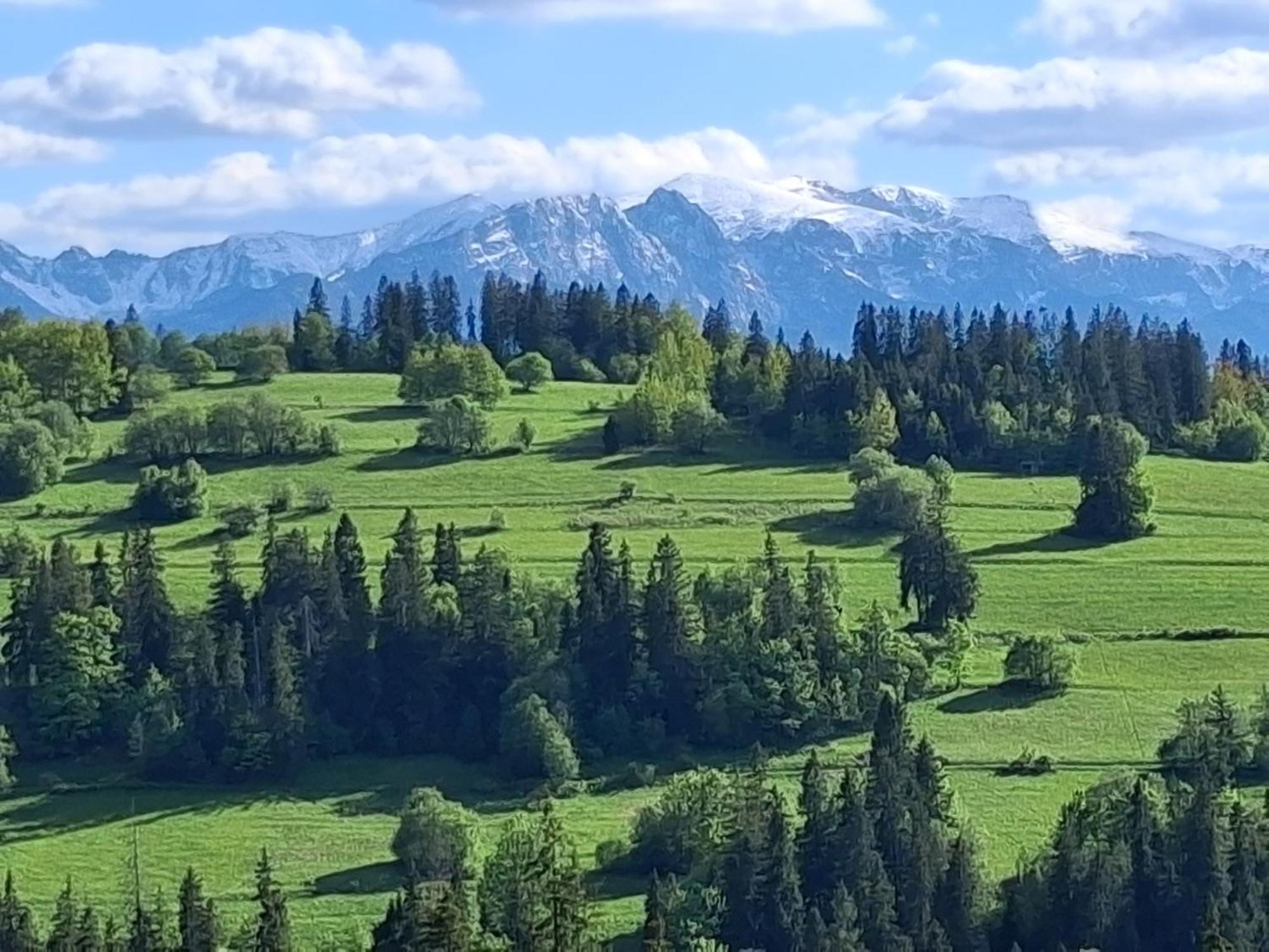 Dom Z Widokiem Na Wierchy - Panorama Na Tatry - Traditional Folk House Gliczarów Buitenkant foto