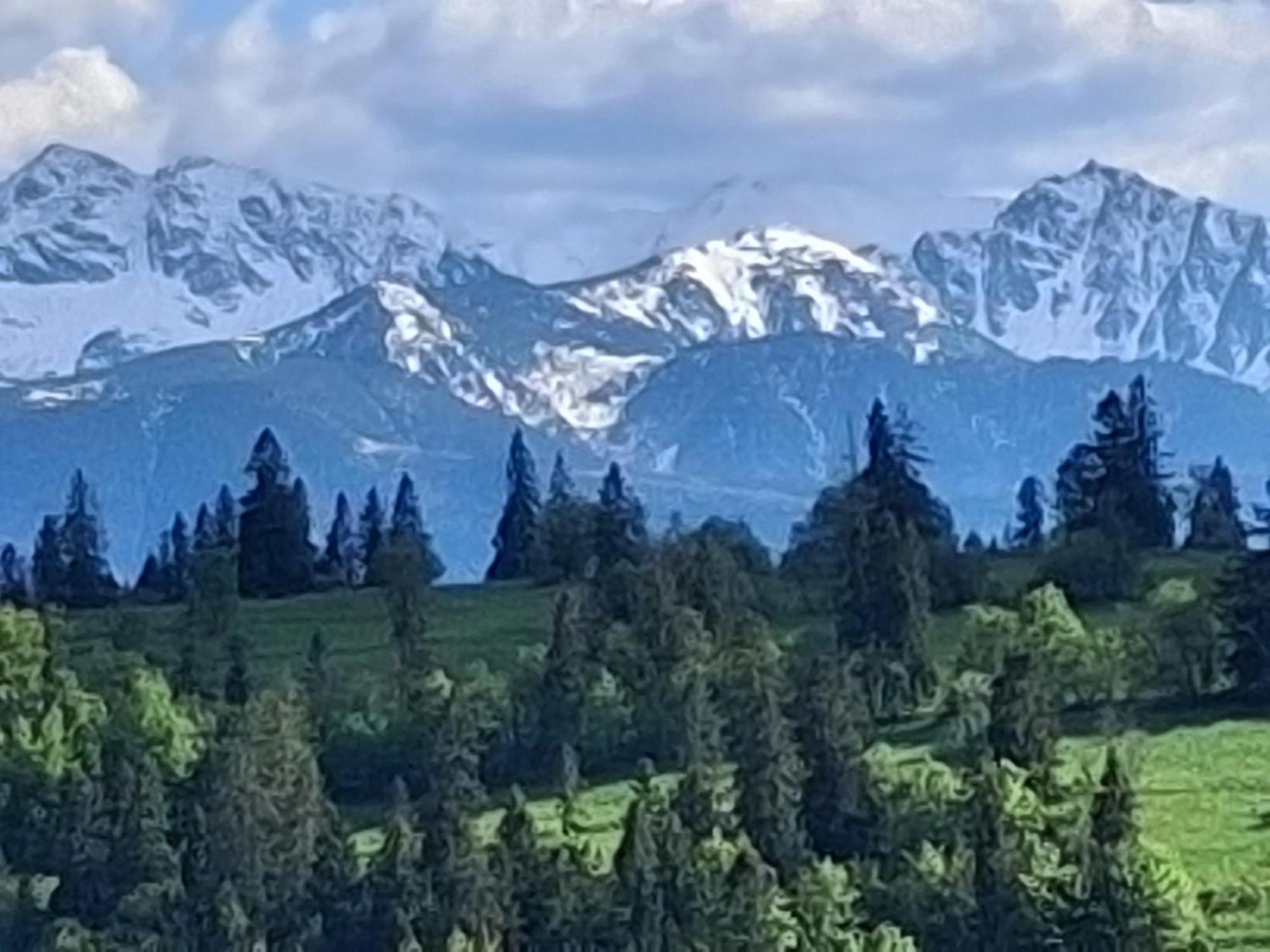 Dom Z Widokiem Na Wierchy - Panorama Na Tatry - Traditional Folk House Gliczarów Buitenkant foto