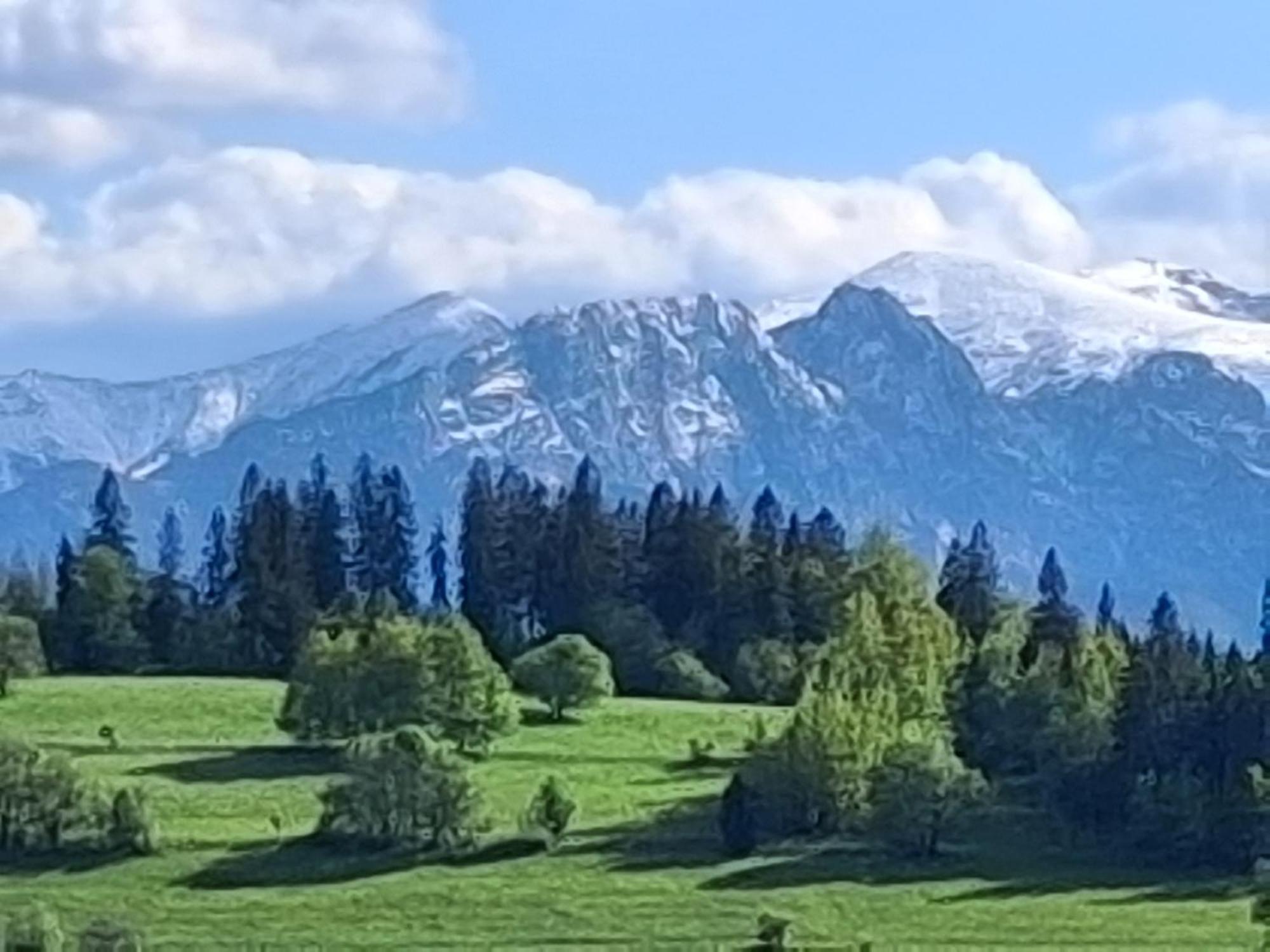 Dom Z Widokiem Na Wierchy - Panorama Na Tatry - Traditional Folk House Gliczarów Buitenkant foto